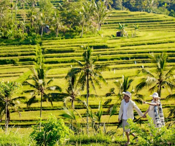 Jatiluwih Rice Terrace1