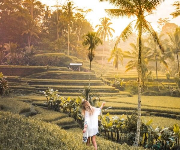 Tegalalang Rice Terrace