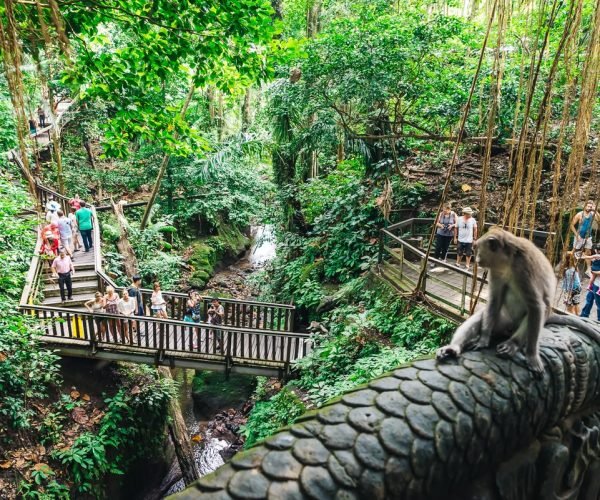 Ubud Monkey Forest