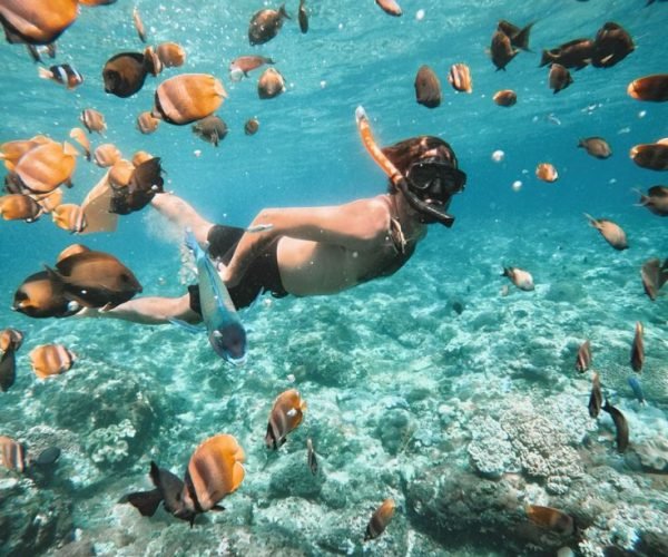 snorkeling penida 1