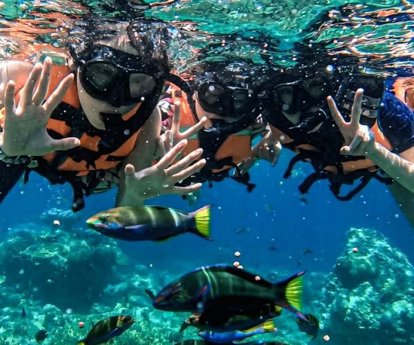 snorkeling penida 2