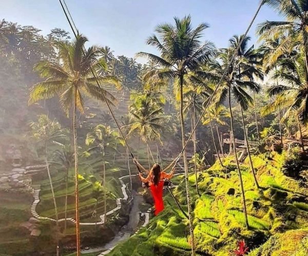 ubud swing 3